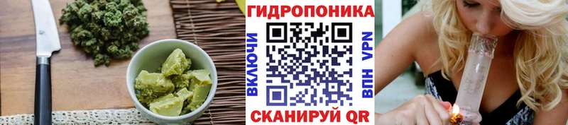 Canna-Cookies марихуана  Хвалынск 