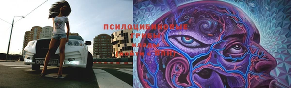 ECSTASY Алексин