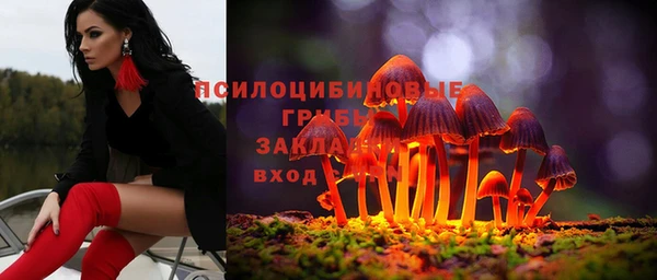 дмт Пестово
