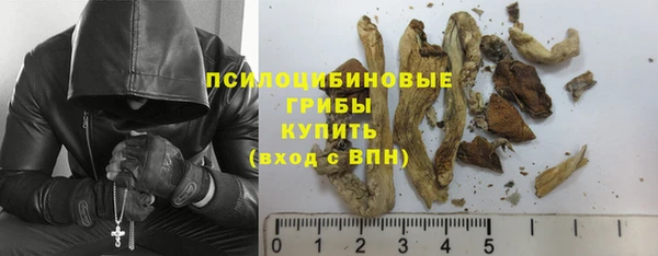 ECSTASY Алексин