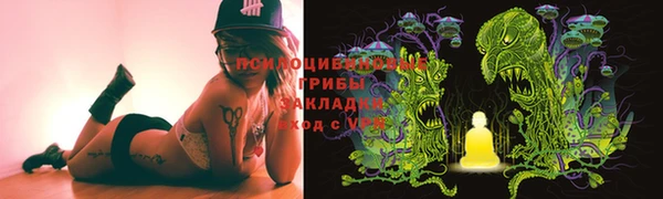 PSILOCYBIN Алексеевка