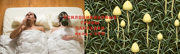 ECSTASY Гусев