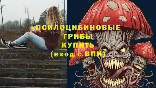 PSILOCYBIN Алексеевка