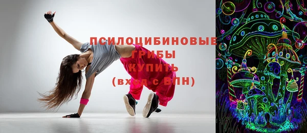 PSILOCYBIN Алексеевка